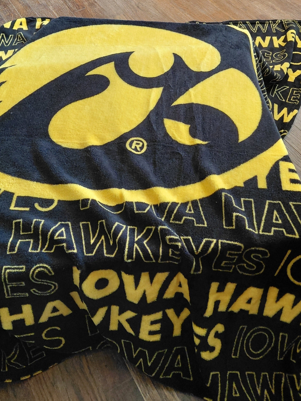 Iowa Hawkeyes Plush Throw Blanket - Black & Yellow